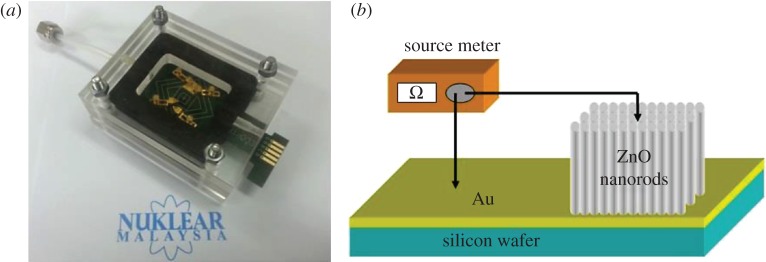 Figure 1.