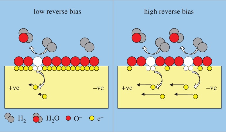 Figure 10.