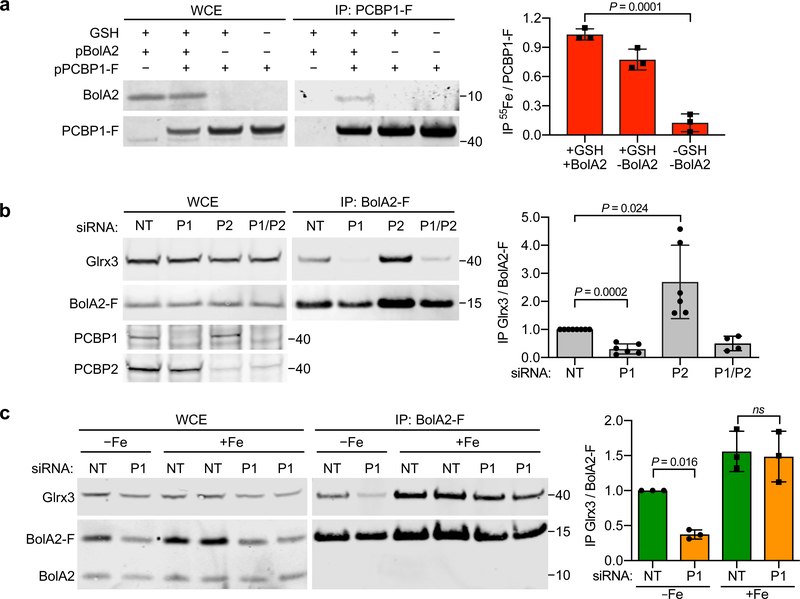 Fig. 4: