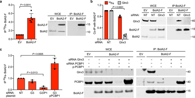 Fig. 2: