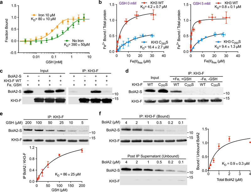 Fig. 6: