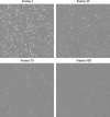 Appendix 1—figure 3.