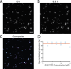 Figure 2—figure supplement 2.