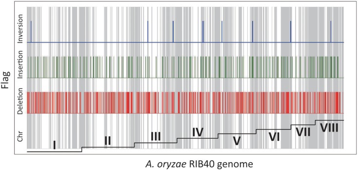 Figure 4.