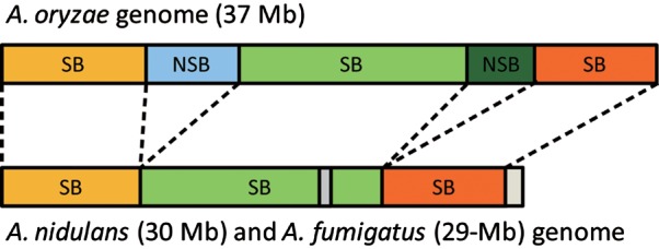 Figure 1.