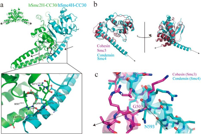 FIGURE 4.