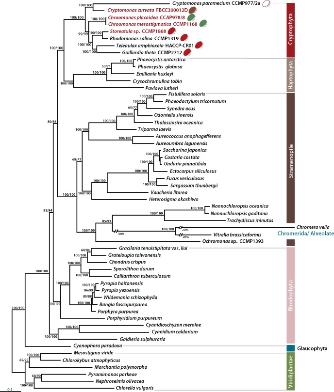 Fig. 3.