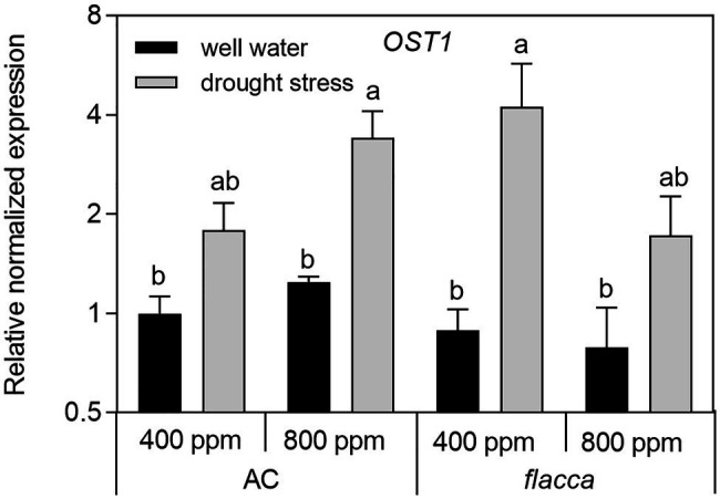 Figure 7