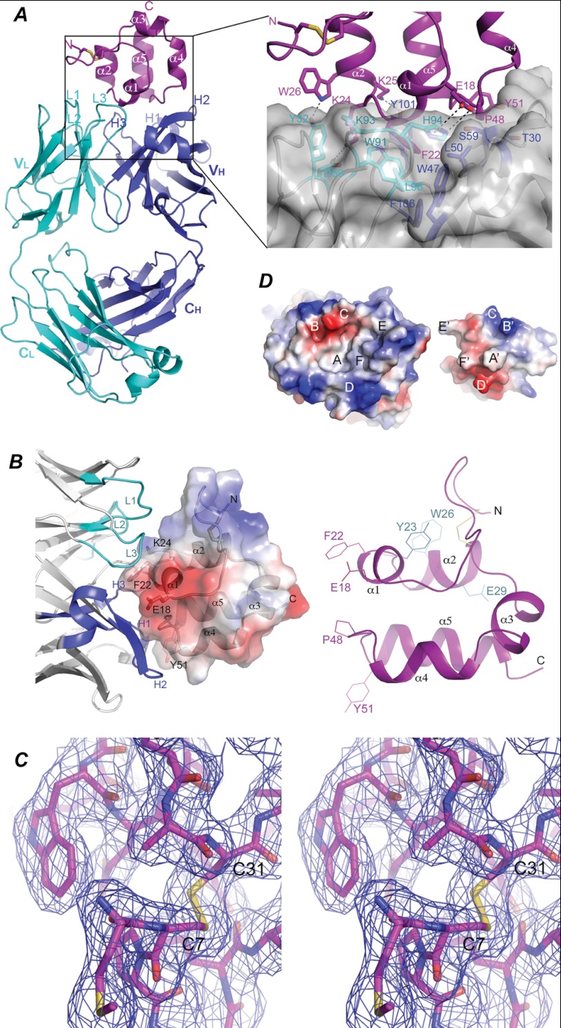 FIGURE 3.