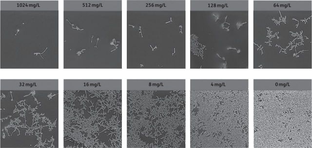 Figure 2.