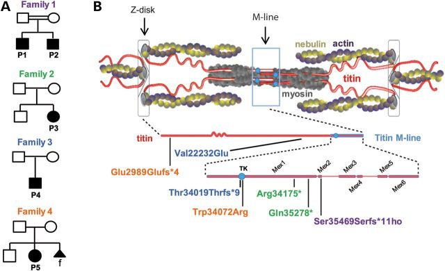 Figure 1.