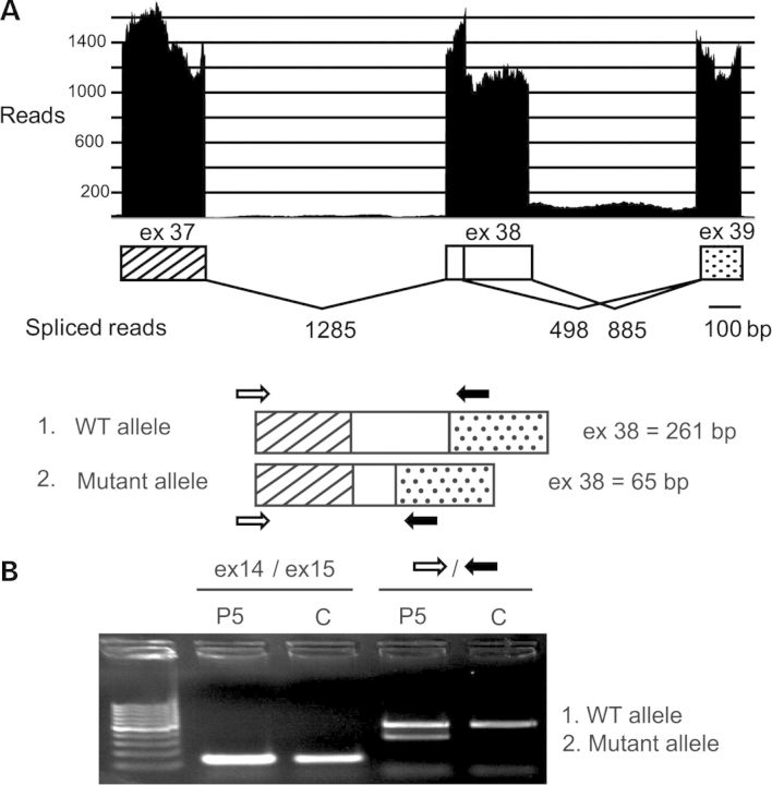 Figure 4.