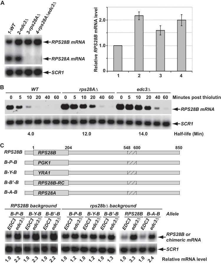 FIG 4