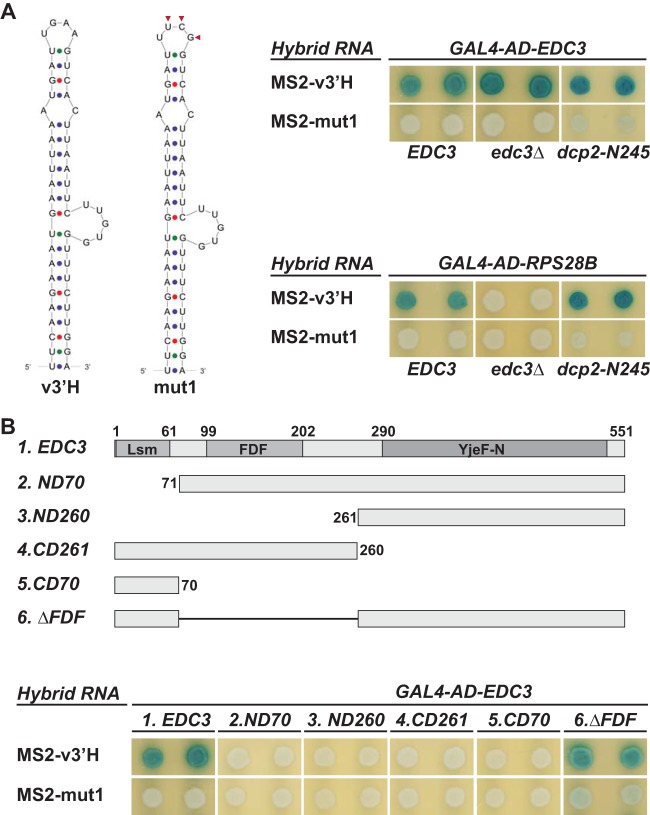 FIG 6