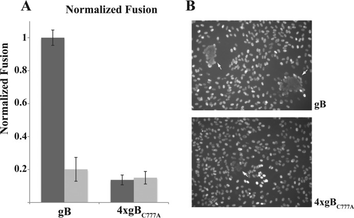 FIGURE 10.