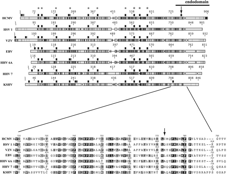 FIGURE 11.