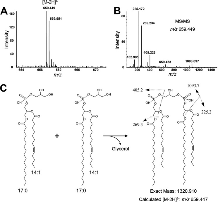 FIGURE 7.