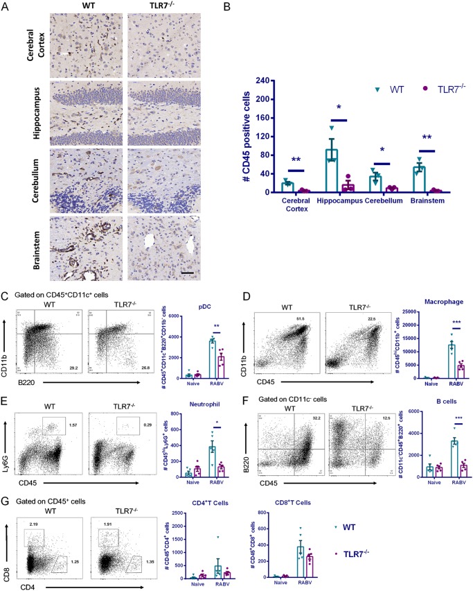 FIG 6