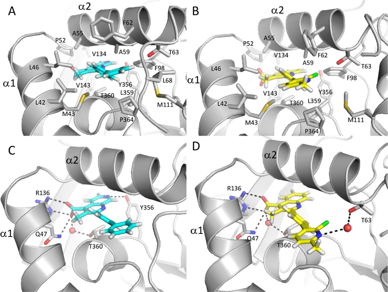 Figure 4.