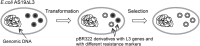 FIG 2