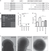 FIG 6