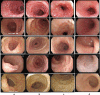 Fig. 3