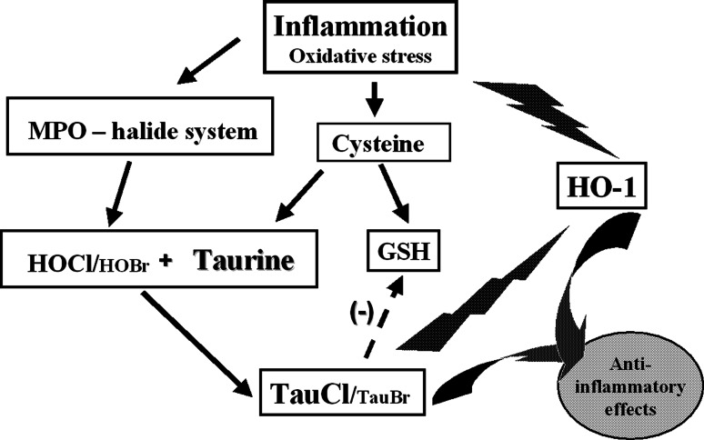 Fig. 5