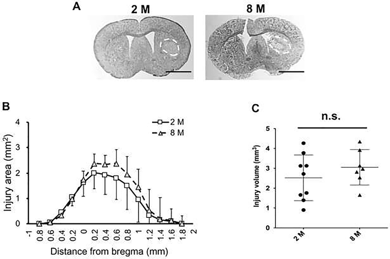 Figure 3.