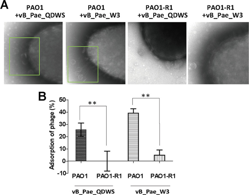 FIG 3