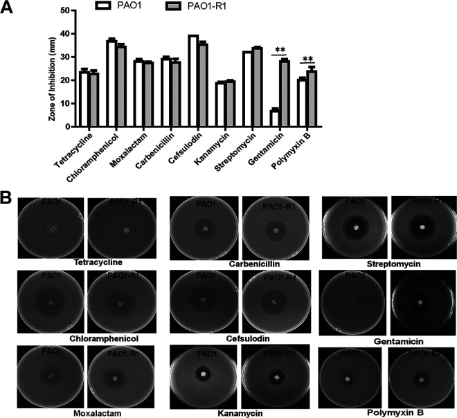 FIG 4