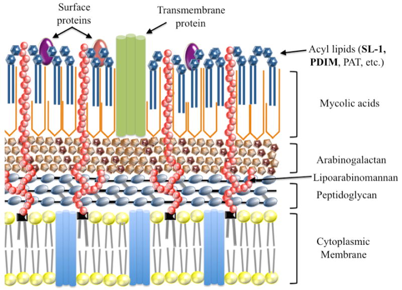 Figure 2