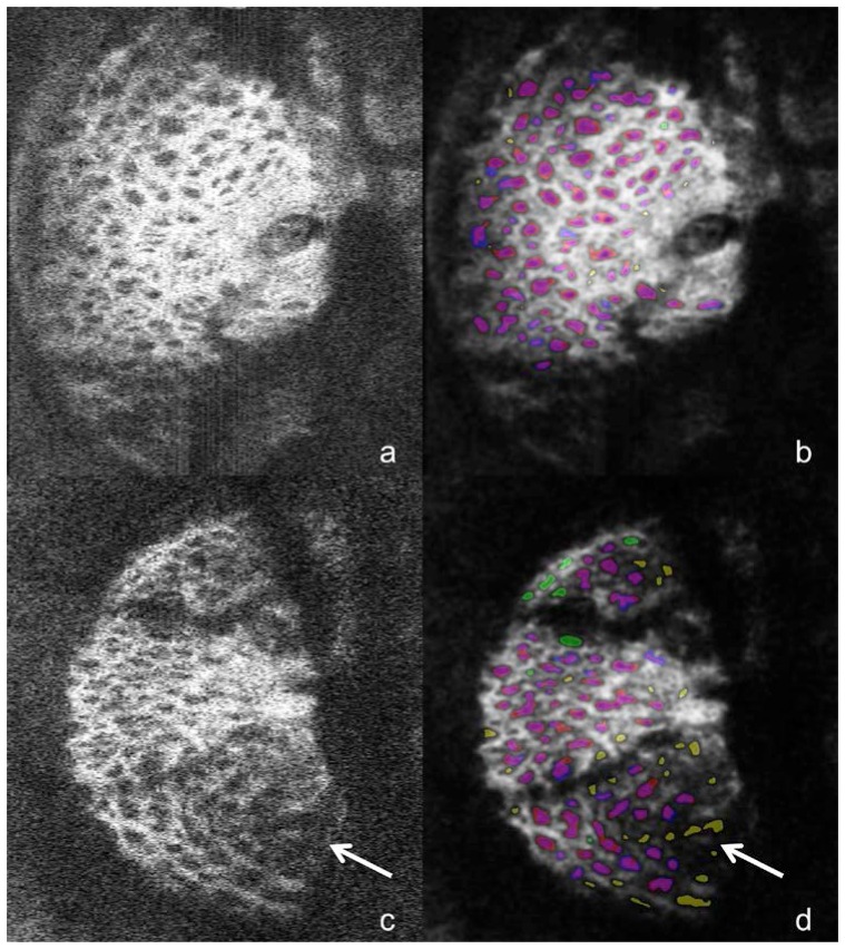 Fig. 5