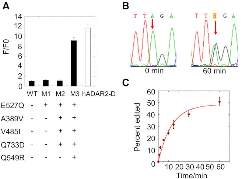 Figure 2.