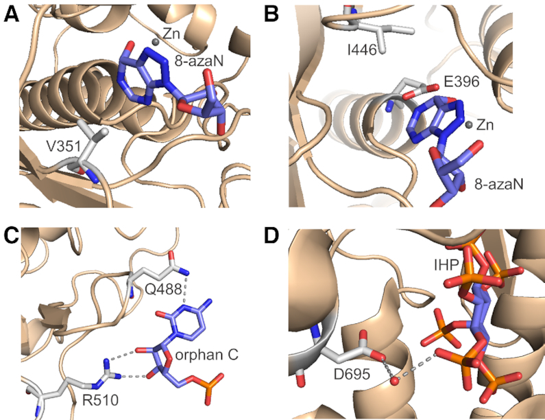 Figure 5.