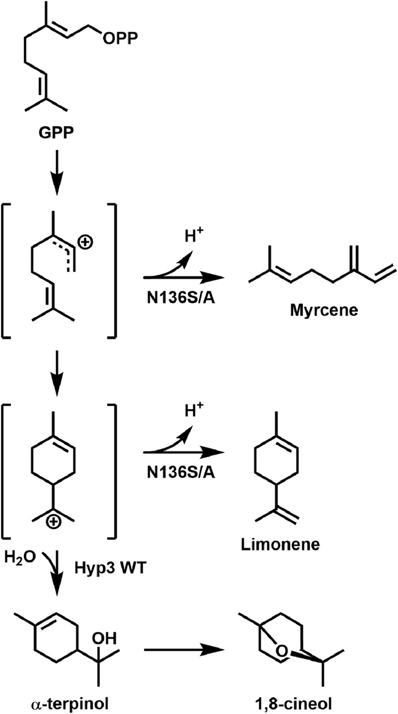 FIGURE 7.