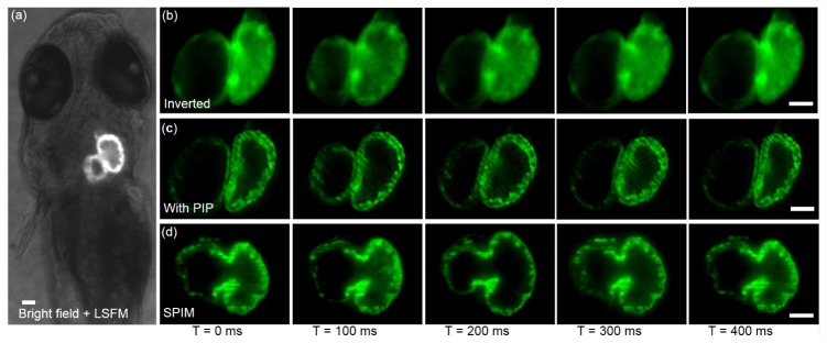 Fig. 4