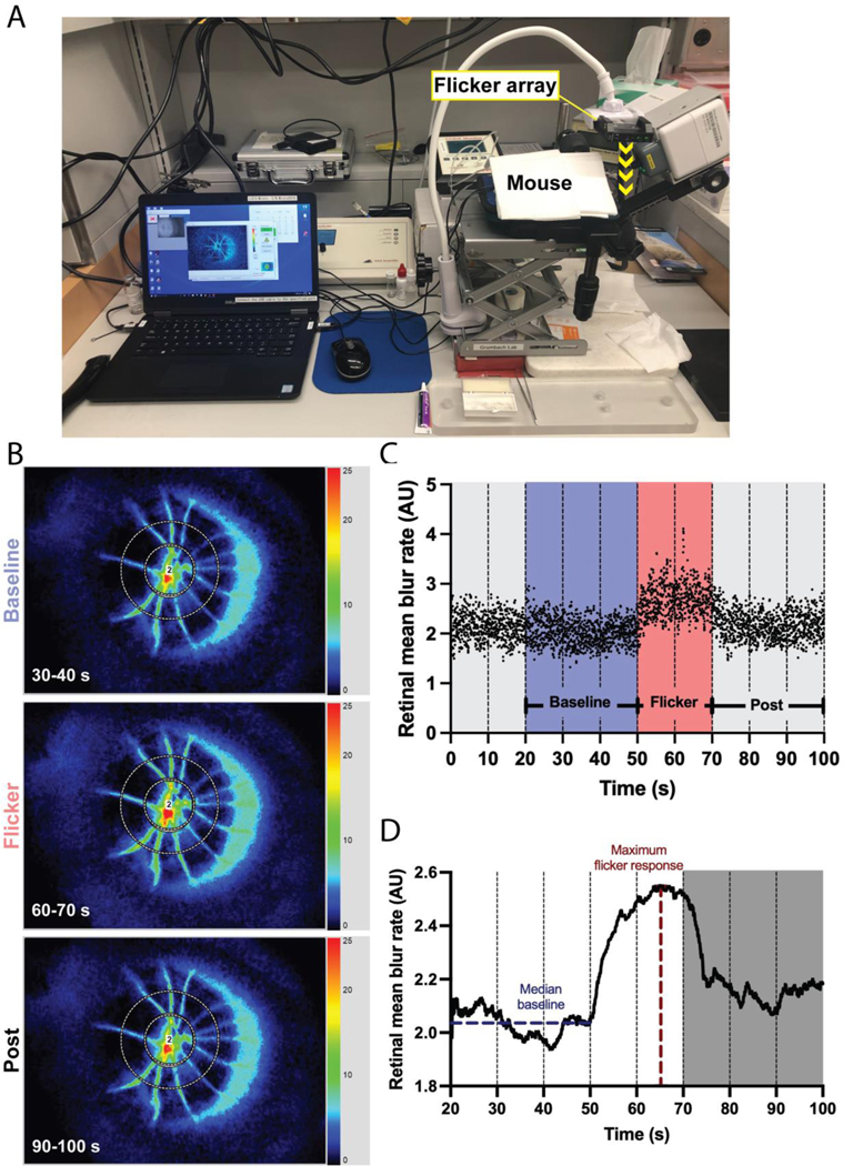 Figure 1: