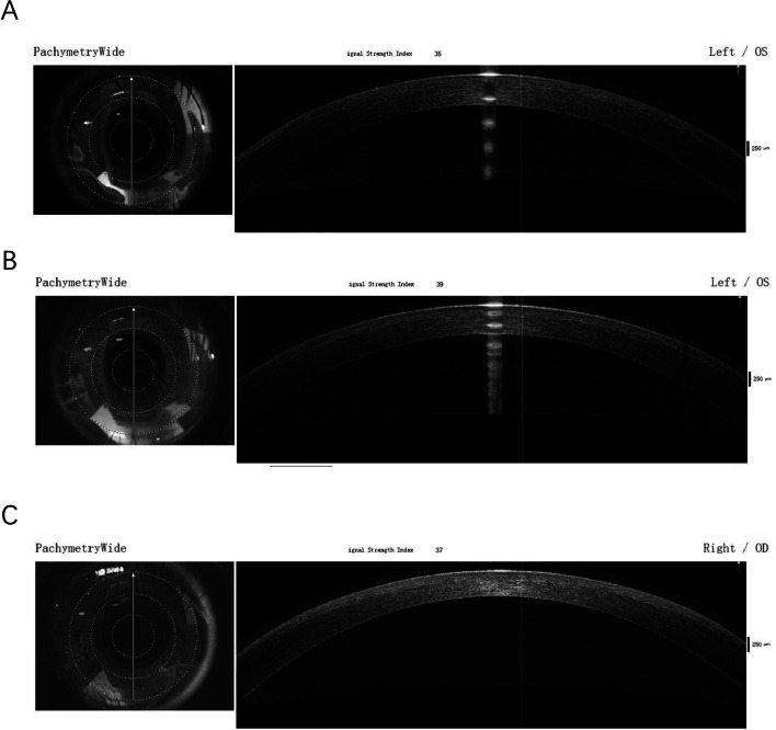 Fig. 3