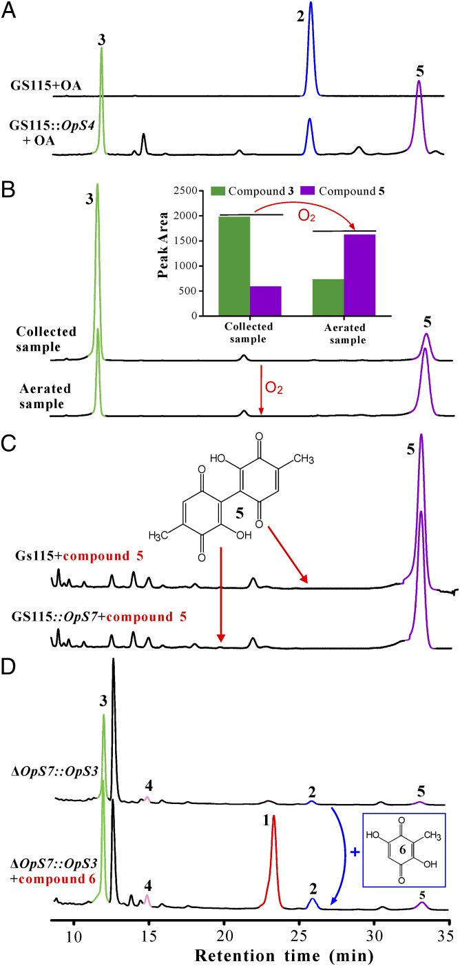 Fig. 3.