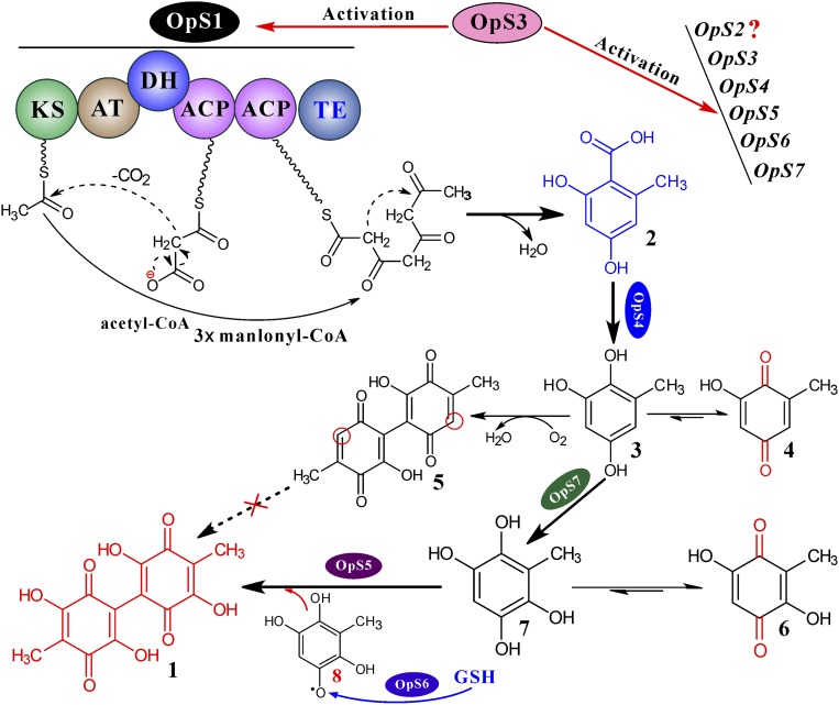 Fig. 4.