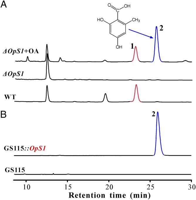 Fig. 2.