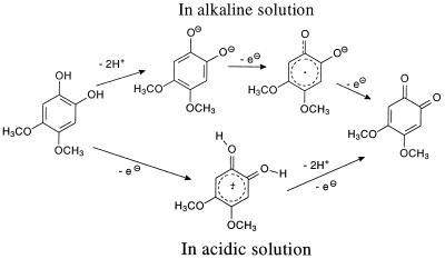 FIG. 8