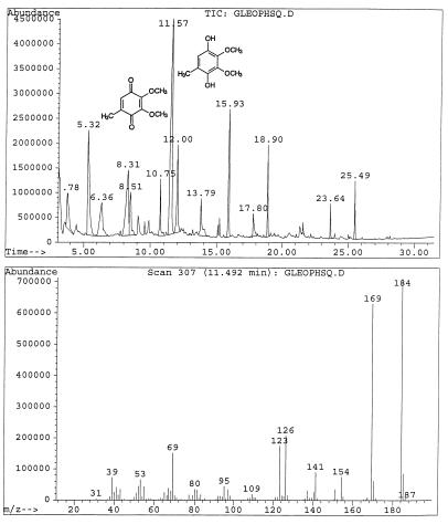 FIG. 10