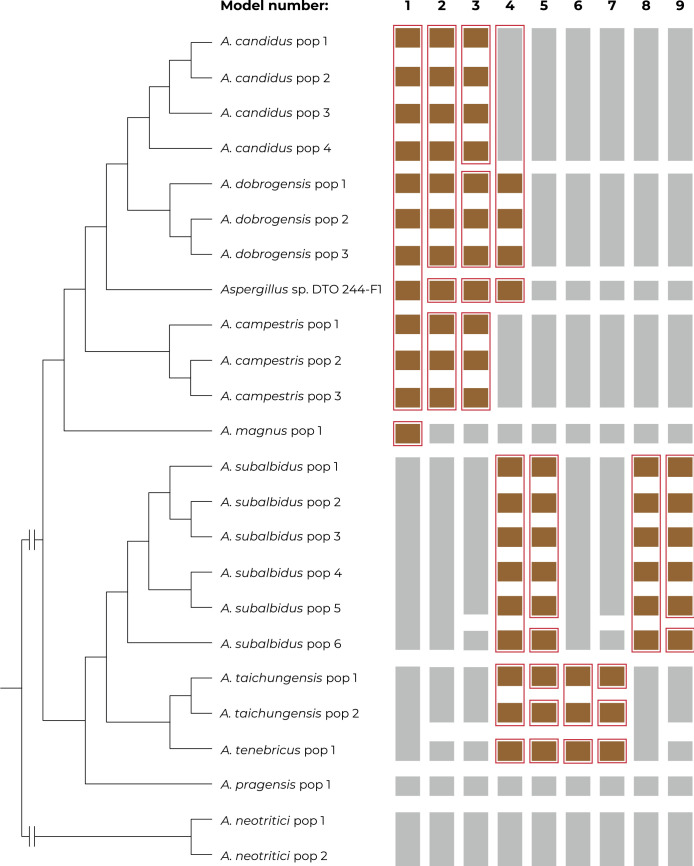 Fig. 11.