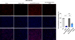 Supplementary Fig. 2
