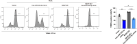 Supplementary Fig. 5