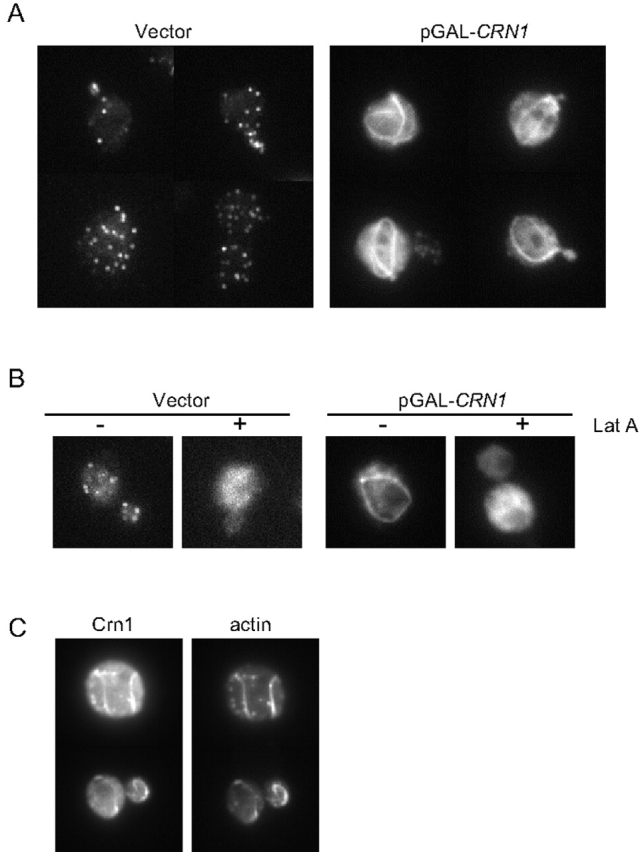 Figure 5.