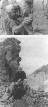 xii
