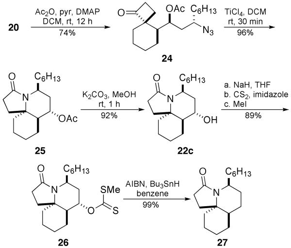 Scheme 8