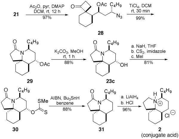 Scheme 9